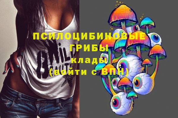 спиды Абинск