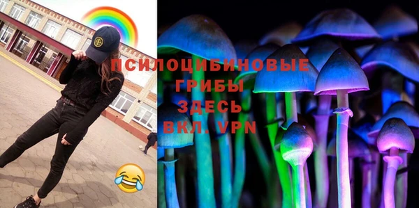СК Абаза